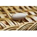 English Wicker / Willow Eco Elite Imperial Traditional Coffin – Creamy White & Natural
