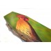 Hen & Chicken - Animal & Pet Design Picture Coffin