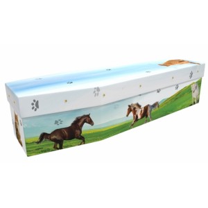 Cat & Horse - Animal & Pet Design Picture Coffin