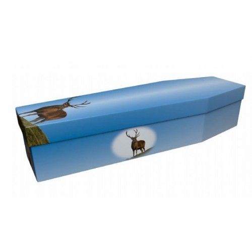 Highland Stag - Animal & Pet Design Picture Coffin