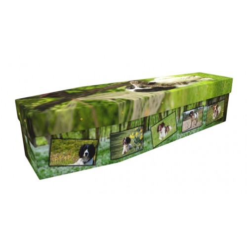 Spaniel Dog - Animal & Pet Design Picture Coffin