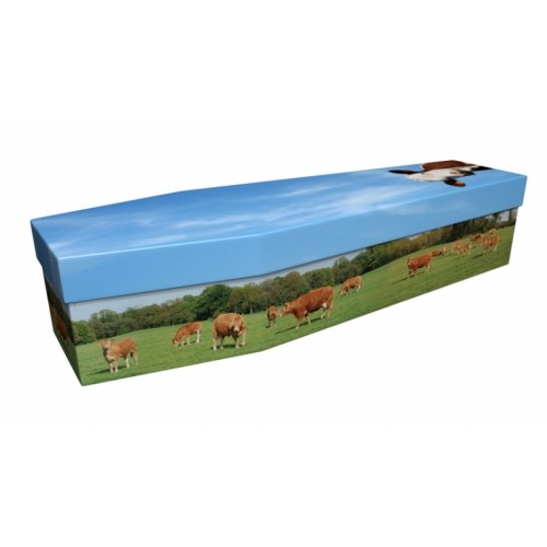 Field of Cows – Animal & Pet Design Picture Coffin