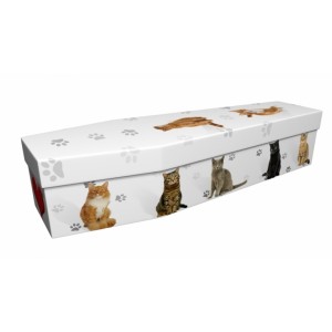 Cats & Paw Prints – Animal & Pet Design Picture Coffin