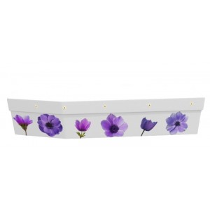 Spring Anemone Flowers – Carefree Wildflower – Floral Design Picture Coffin
