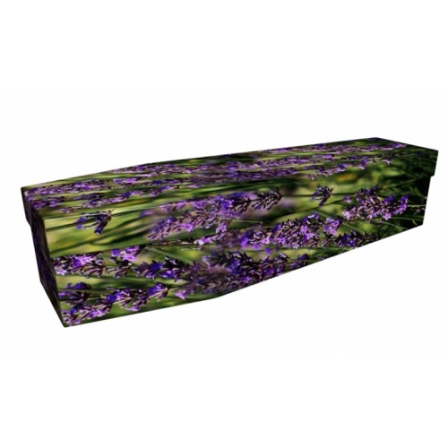 Love for Lavender – Floral Design Picture Coffin