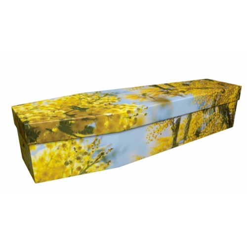 Route du Mimosa - Floral Design Picture Coffin