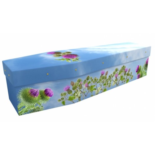 Scottish Thistle - Floral Design Picture Coffin