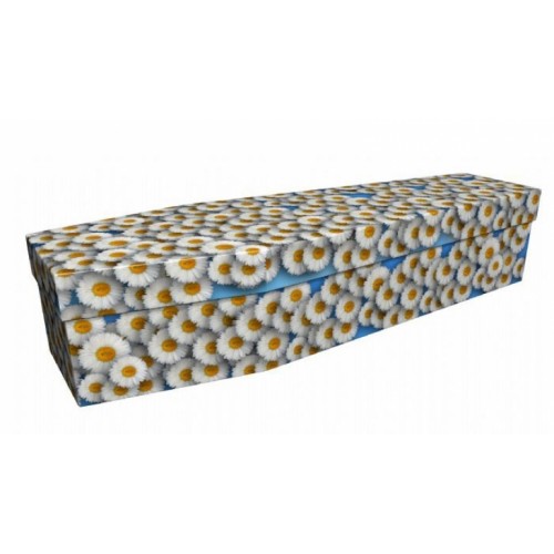 Sunkissed Daisies - Floral Design Picture Coffin
