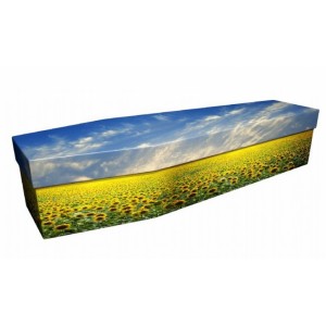 Sunflower Field – Landscape / Scenic Design Picture Coffin