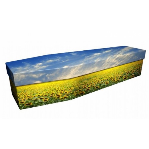 Sunflower Field – Landscape / Scenic Design Picture Coffin