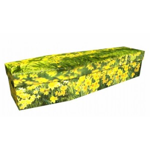 The Field of Daffodils - Premium Cardboard Picture Coffin 