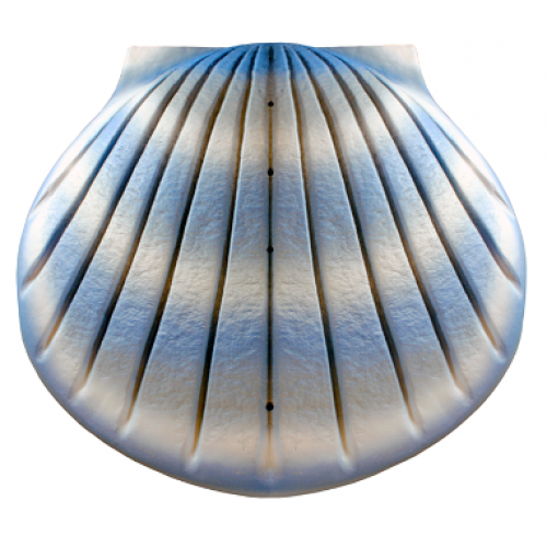 Biodegradable Cremation Ashes Urn - The Shell (Aqua Blue)