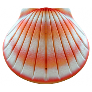 Biodegradable Cremation Ashes Urn - THE SHELL (Coral) 