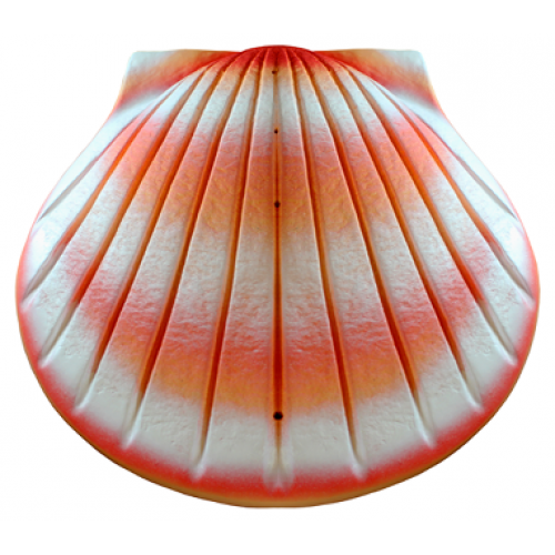 Biodegradable Cremation Ashes Urn - The Shell (Coral) 