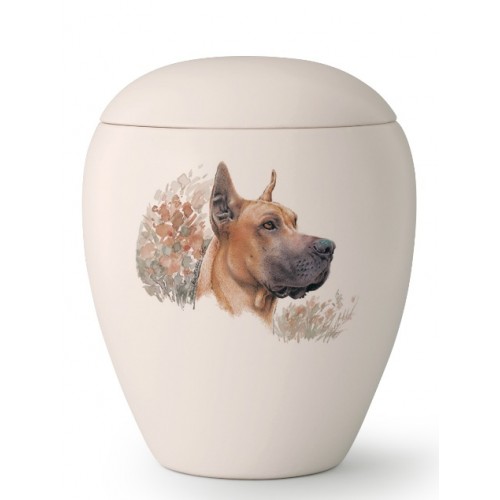 Large Ceramic Cremation Ashes Urn – Pet Dog Animal – Hand Painted Great Dane Motif