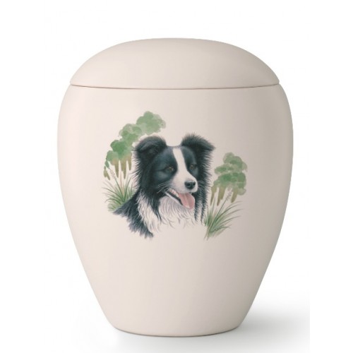 Medium Ceramic Cremation Ashes Urn – Pet Dog Animal – Hand Painted Border Collie Motif